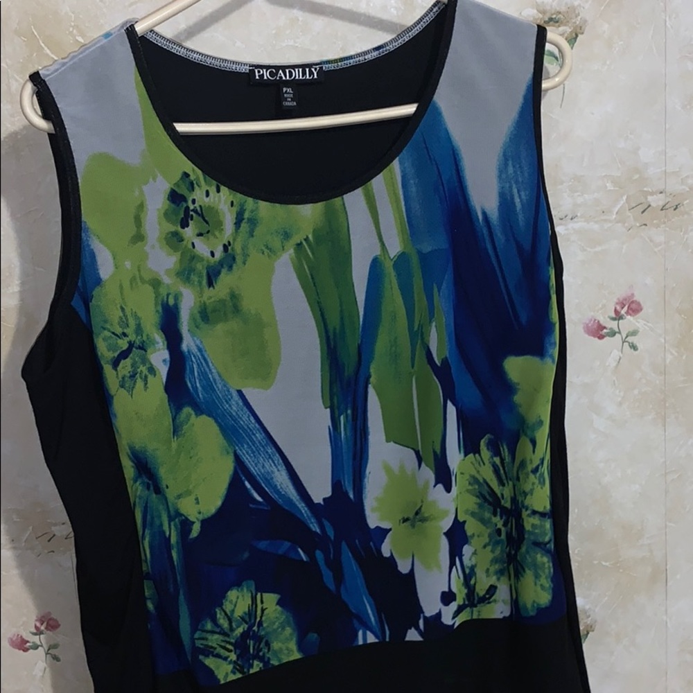 Hardly wore Picadilly Top